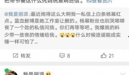 营销号最新爆料视频,视频内容深度解析